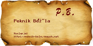 Peknik Béla névjegykártya