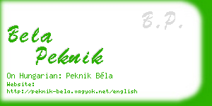 bela peknik business card