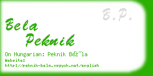 bela peknik business card